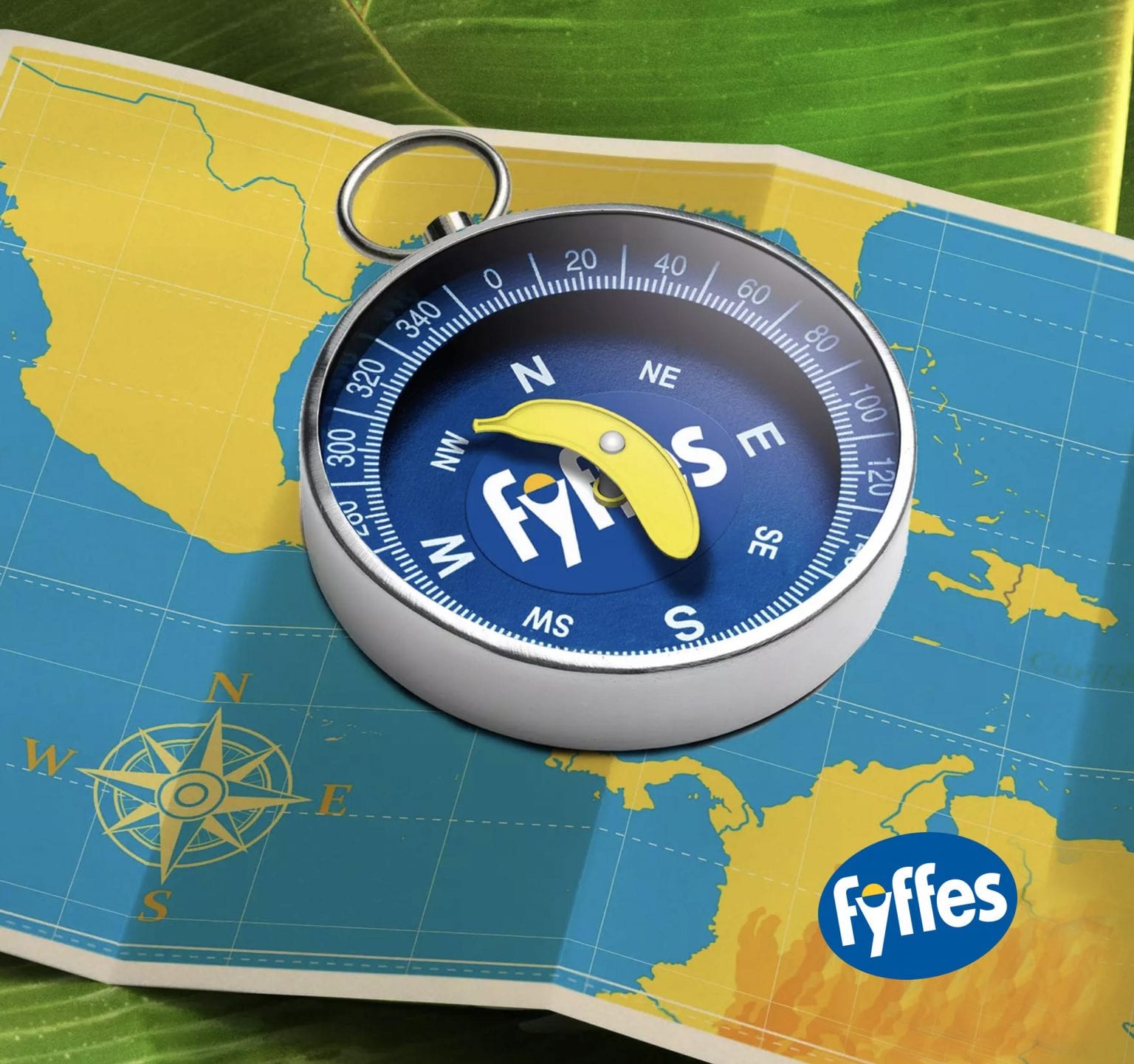 Contact Us Fyffes